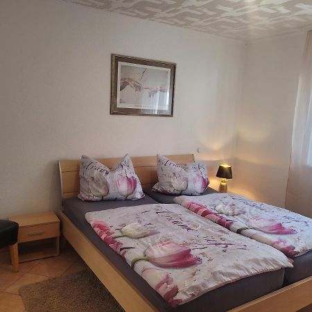 Ferienwohnung Jasmin In Schoenau Bei Heidelberg Fewo 2 Schonau  Esterno foto